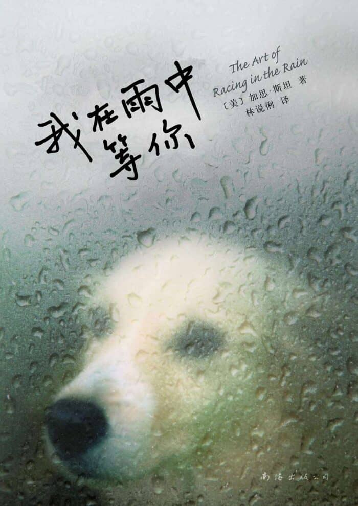 《我在雨中等你》加思斯坦